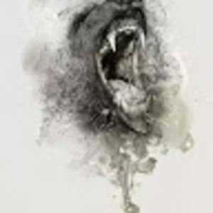 Meet your Posher, Jeffrey